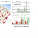 Activité de surveillance du paludisme en Guyane