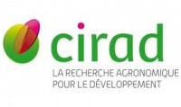 CIRAD, Guyane